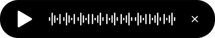 Audio playback bar